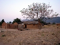 Tanzania-under tree